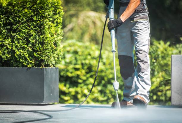Animal Enclosure Cleaning in Kotzebue, AK